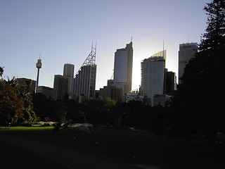 Image showing sydney