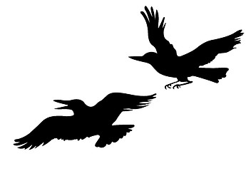 Image showing vector drawing two ravens on white background