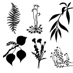 Image showing vector set of the plants on white background