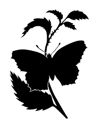 Image showing vector silhouette of the butterfly on white background