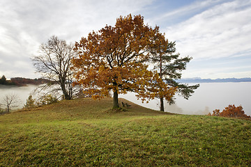 Image showing autumn scenery