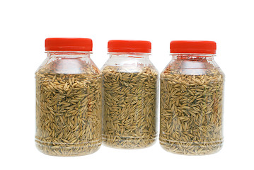 Image showing Oats grain in transparent packing.