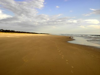 Image showing sandy beach