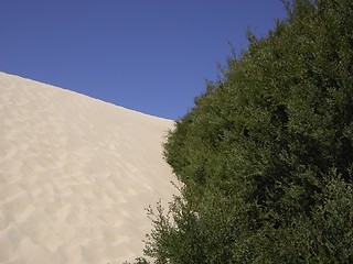 Image showing sand dune