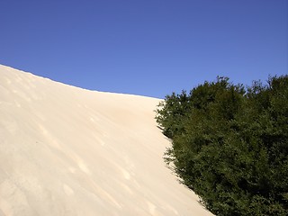 Image showing sand dune