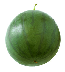 Image showing Watermelon.