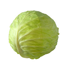 Image showing Cabbage.