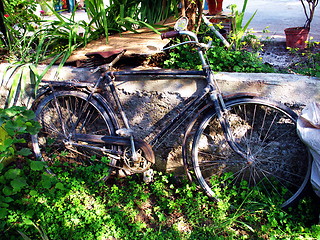 Image showing Bicycle old