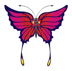 Image showing Butterfly.