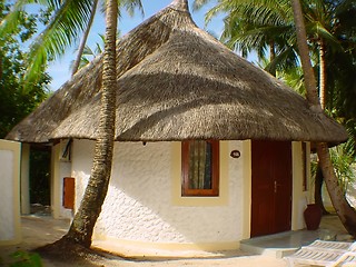 Image showing maldive hut