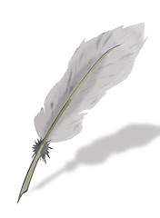 Image showing Goose feather.