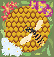 Image showing Bee on honeycombs.