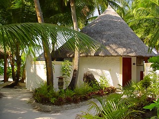 Image showing maldive hut