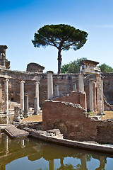 Image showing Roman columns