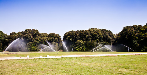 Image showing Luxury garden: irrigation