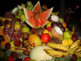 Image showing fruit collection