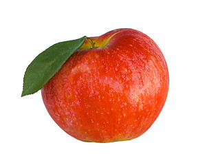 Image showing red apple