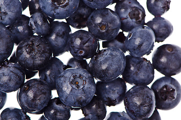 Image showing Blueberries