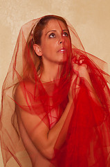 Image showing Red tulle