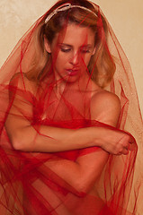 Image showing Red tulle