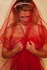 Image showing Red tulle