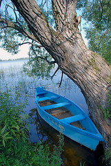 Image showing Boat near willow 