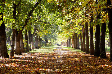 Image showing park landscape in autumn 