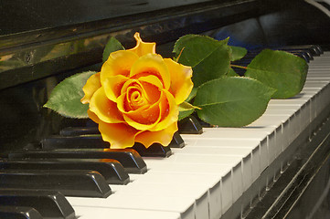 Image showing rose over key of piano 