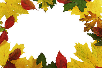 Image showing autumn  leafs as frame 