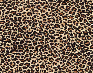 Image showing leopard skin as background