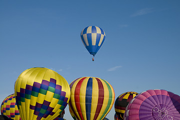 Image showing Hot-air balloon ascending over other inflating ones