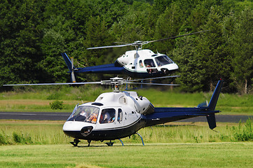 Image showing Two helicopters landing in a field