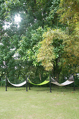 Image showing Hammocks out on sunny yard near forest