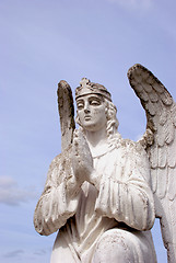 Image showing Sculpture of white angel praying 