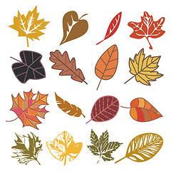 Image showing set of autumn leaves