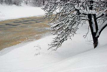 Image showing Winter river 