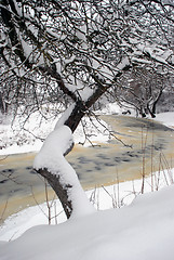 Image showing Winter river