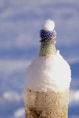 Image showing Winter bottle 