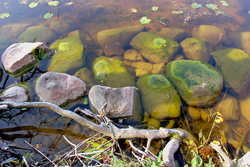 Image showing Lake coast 