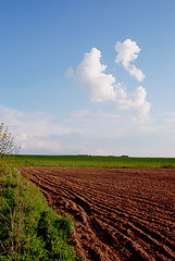 Image showing Field 
