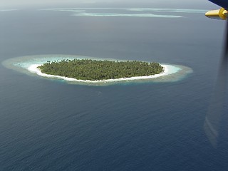 Image showing maldive island