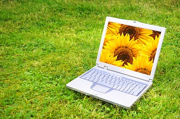 Image showing flowers and laptop