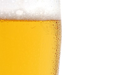 Image showing glass of beer isolated on white background