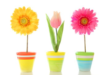 Image showing flowers in pot