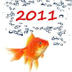 Image showing new year 2011