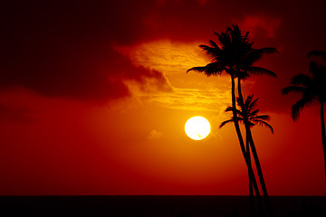 Image showing Tropical sunset.