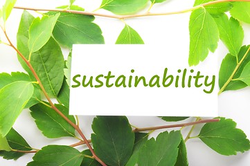 Image showing sustainability