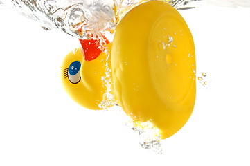 Image showing rubber duck