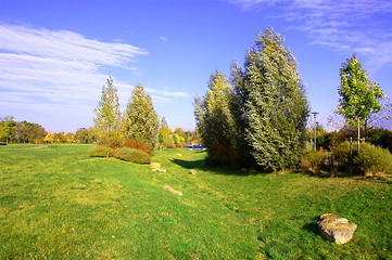 Image showing summer in the park with green trees and grass