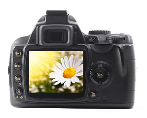 Image showing holiday flower on camera